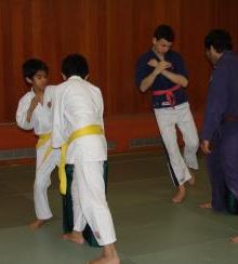 swiper__image