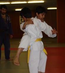 swiper__image